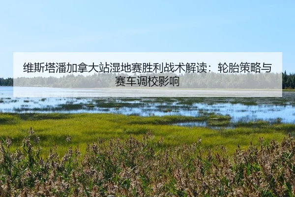 wei-si-ta-pan-jia-na-da-zhan-shi-di-sai-sheng-li-zhan-shu-jie-du-lun-tai-ce-lve-yu-sai-che-diao-xiao-ying-xiang-2-555.jpg